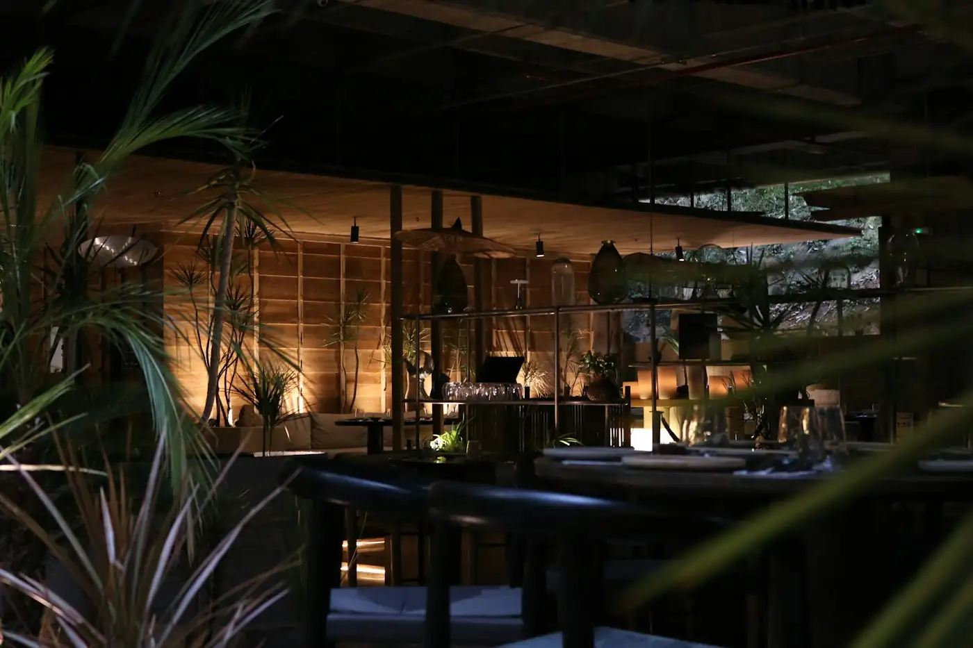 Sala del ristorante di sera, con piante rampicanti e luci calde sopra i tavoli